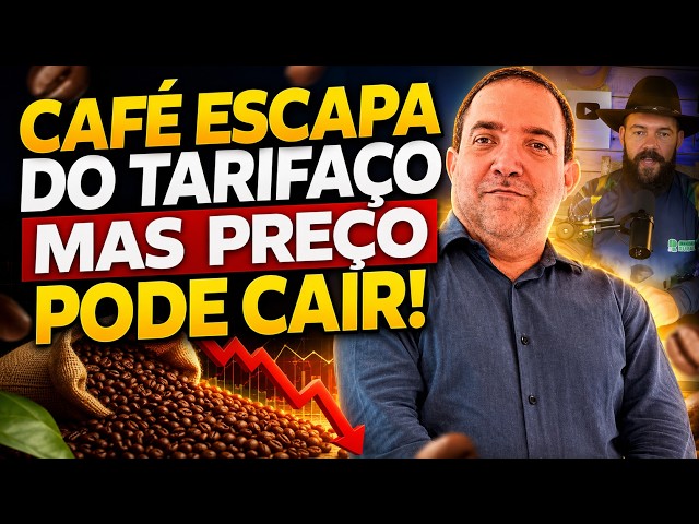 CAFÉ escapa do TARIFAÇO mas preço pode cair!