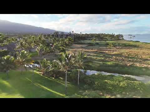 Maui, Hawaii: A Peaceful Beach Getaway Part2| Stunning Ocean Views & Tropical Vibes 🌴🌅 #Maui #Hawaii