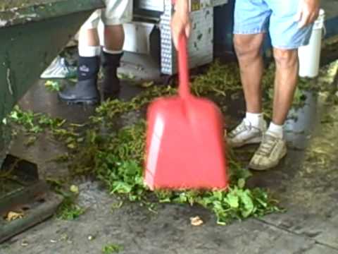 download lagu mp3 mp4 Hygienic Shovel, download lagu Hygienic Shovel gratis, unduh video klip Hygienic Shovel