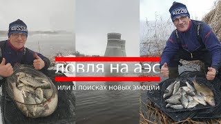 Ловля рыбы в сосновом бору на сбросе
