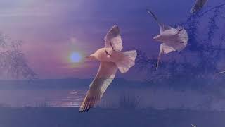 Immortal Beauty   -   Aeoliah