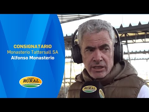 Alfonso Monasterio | Monasterio Tattersall SA | 6/01/26 | MV