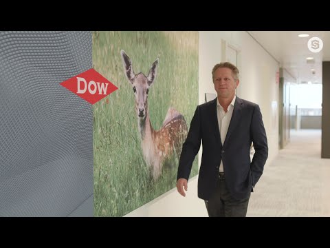 Dow Benelux & Smart Delta Resources (EN)