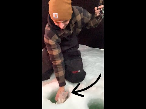 Pulling up a JUMBO WALLEYE while ICE FISHING!