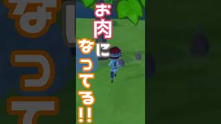 【リトルドラゴンズカフェ へなちょこ切り抜き】ズッキドンとチェイスしてみた【#shorts】 #リトルドラゴンズカフェ #リトドラ   #LDC #へなちょこ実況ツアー #へなちょこ颯