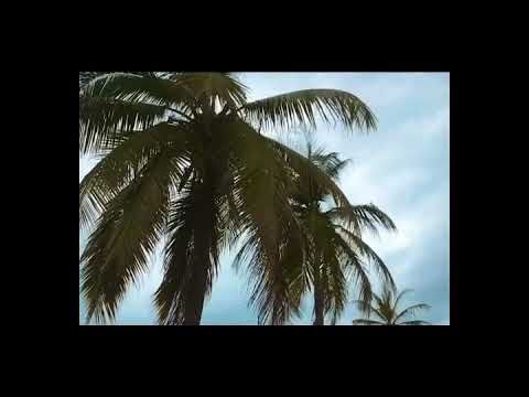 Dj vitoto ft moonchild Online E-tribes dance crew