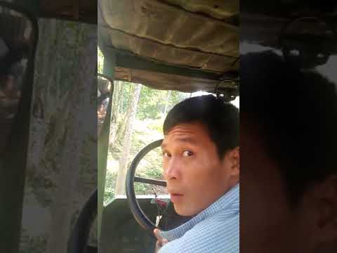 download lagu mp3 mp4 Ccong, download lagu Ccong gratis, unduh video klip Ccong