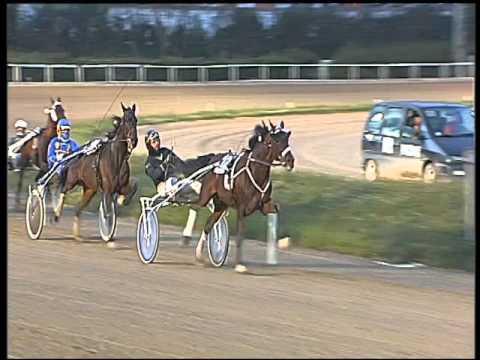 Trotto 12/02/2016 - 6° corsa