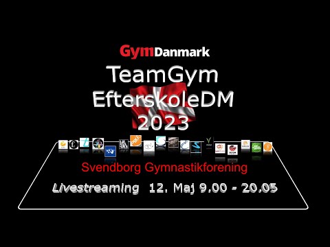 Teamgym - Efterskole DM 2023