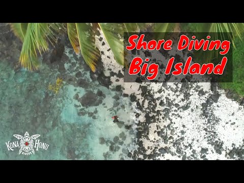 Big Island Shore Diving - Mile Marker 4 Dive Site | Kona Honu Divers