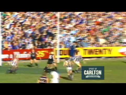 Brendan Hartney 1981 and 1982 - Carlton Football Club Past Player