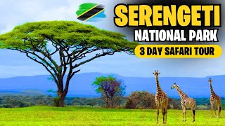 The Serengeti National Park: A Hidden Gem in Tanzania