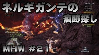 ネルギガンテの痕跡探し【ゲーム実況】MONSTER HUNTER WORLD【にゃとらす】 #21