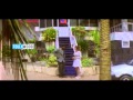 Love Birds Movie Part 6