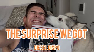 Video 51