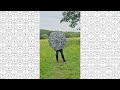 Видеообзор Женский зонт Fulton L354 Minilite-2 Sunflower (Подсолнух)