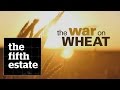 The War on Wheat - the fifth estate