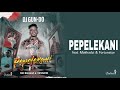 Dj Gun-Do SA - PEPELEKANI (Official Audio Visualizer) feat. Makhadzi & Fortunator