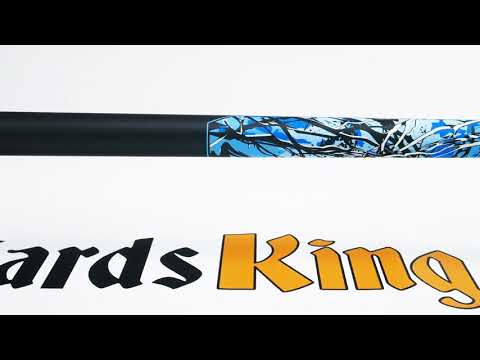 Rage RGCB Pool Stick - Cue View 360 - 4K Ultra HD Rotating 360 Degree Pan & Zoom
