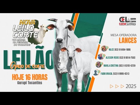 Canalleiloes.com | LEILÃO GADO DE CORTE | NOVA LEILO CORTE LEILÕES | GURUPI-TO 12/12/2025