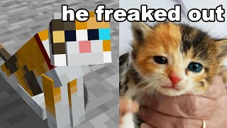I Got My Brother His Minecraft Cat in Real Life