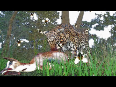 The ROAD to ELDER Animalia Survival