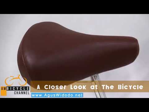 Linus Scout 7 City Bike 2017