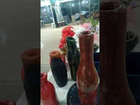 EXPO EXAAER RINOPOLIS São Paulo Brasil, 3.0 dia