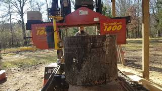 COOKIES Instead of Firewood | Timberking 1600