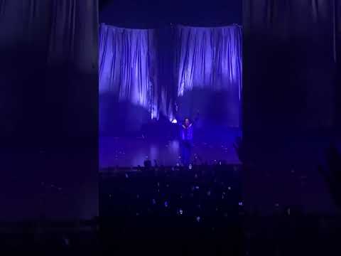 2022/11/27 DPR IAN - Scaredy Cat & Ribbon