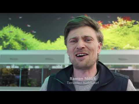 Produktives Lernen Rendsburg Altstadt