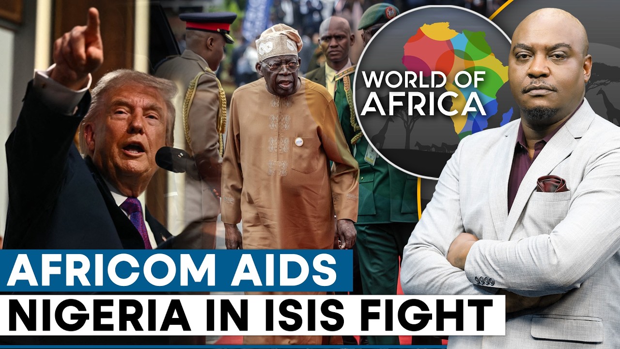After Killing Top Commander, US Sustains Attacks on Islamic State in Nigeria | WION World of Africa
