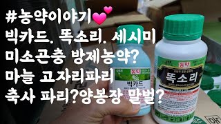 #농약이야기