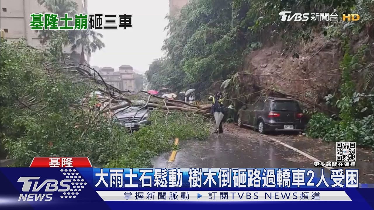 大雨土石鬆動 樹木倒砸路過轎車2人受困