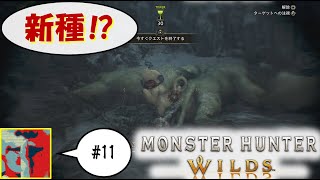 【Single J】#11 あれは...ブランゴ亜種！？「モンスターハンター　ワイルズ」実況プレイ