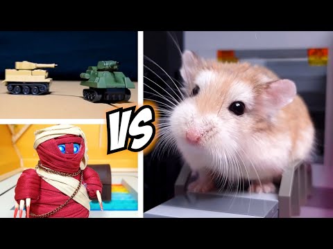 Brave HAMSTER vs ROBOT MONSTERS - Real life pet hamster action