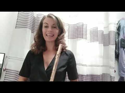 Etude 22, Allegretto, Wilhelm Popp, Volume 1