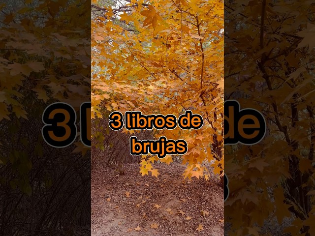 Vídeo relacionado con Witches 3. Maleficio de piedra