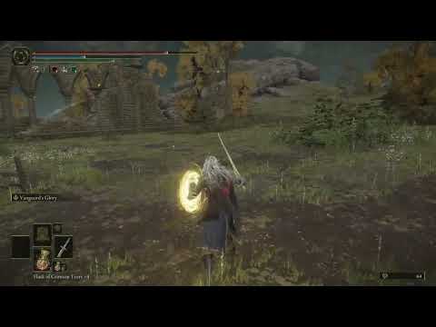 Elden Ring: Showcasing Vengeance And Glory Mod