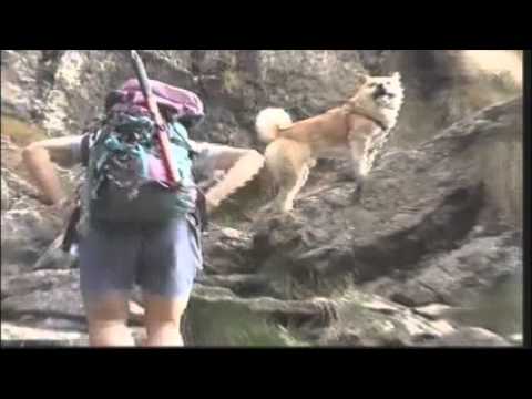 VALCHIUSELLA COSE MAI VISTE