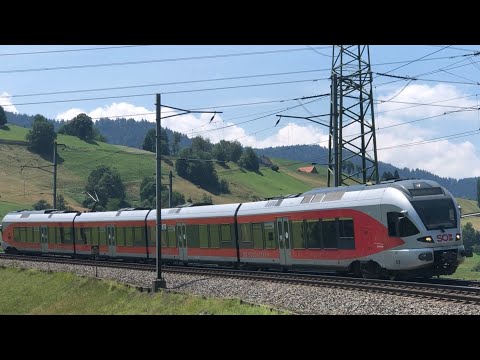 [FR/DE] Trafic ferroviaire/Bahnverkehr SOB (Südostbahn) - Transports Publics Suisses
