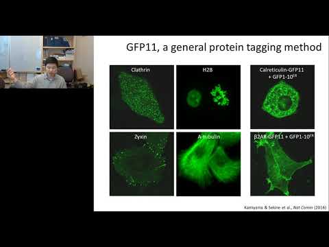 Keynote Presentation: Mapping the Inner World of the Cell