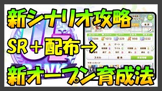 【ウマ娘】オープンリーグUE育成が安定しない方必見‼︎新シナリオで誰でも簡単に作れるサポカ編成・育成方法について紹介します‼︎【メカウマ娘】