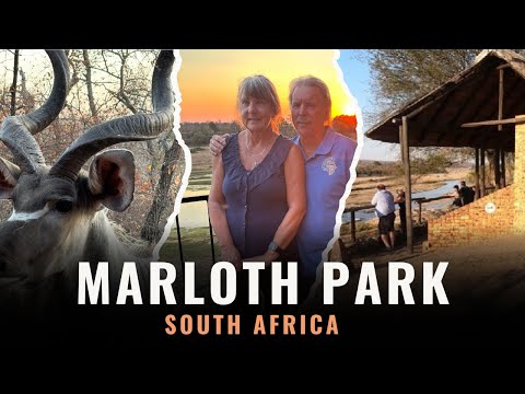 Der großartige Marloth Park – ein vollständiger Überblick.
