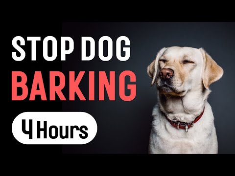 Sound To Stop Dogs Barking | For dog training and correction | 4 Hours