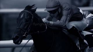 Whatever It Takes- Horse Racing Music Video