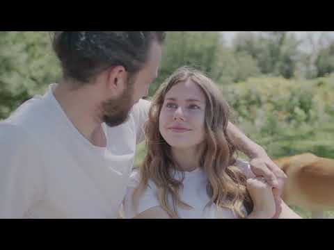 TRACES MEMORIES   THE LETTERMEN