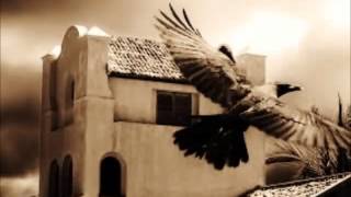 Trashman    Norman Brown