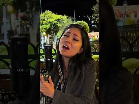 El Olvido (Hugo Almanza Durand) 