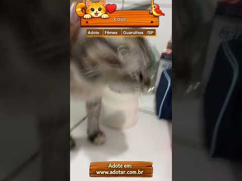 Vídeo de Love 